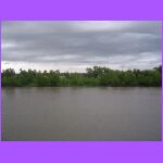 Mississippi River Bank 2.jpg